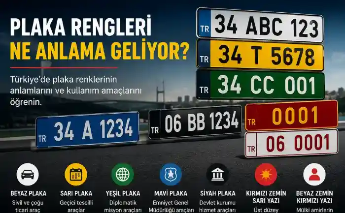 Plaka Renkleri ve Anlamları